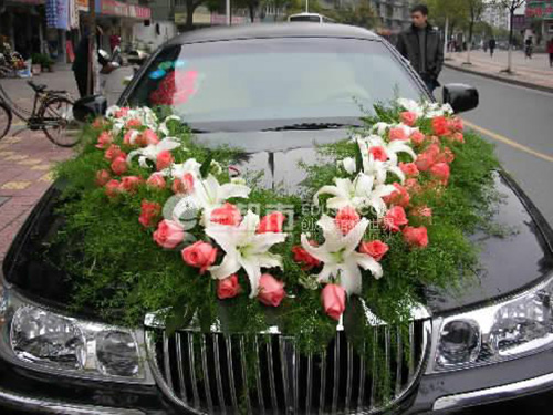 電泳槽內(nèi)管路